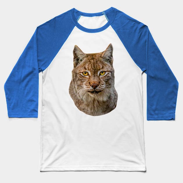 European Lynx Baseball T-Shirt by dalyndigaital2@gmail.com